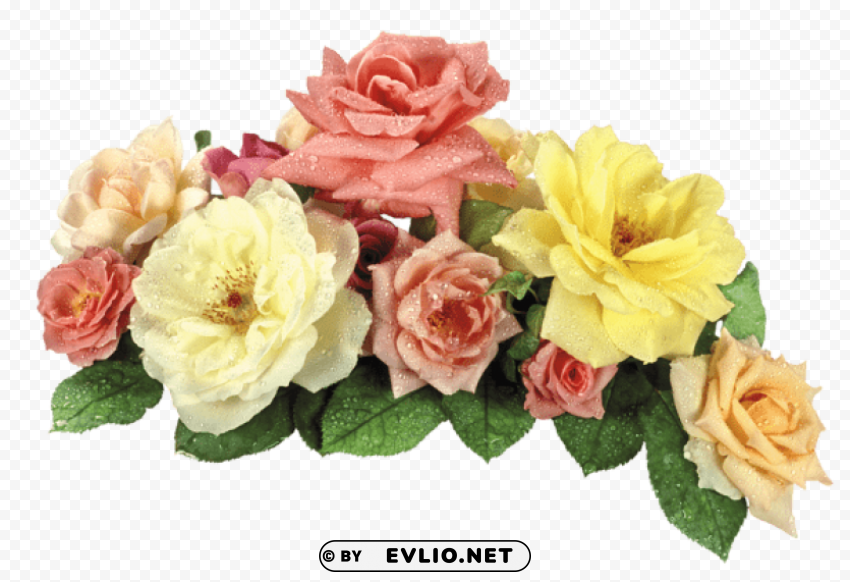 roses Isolated Item with Transparent PNG Background