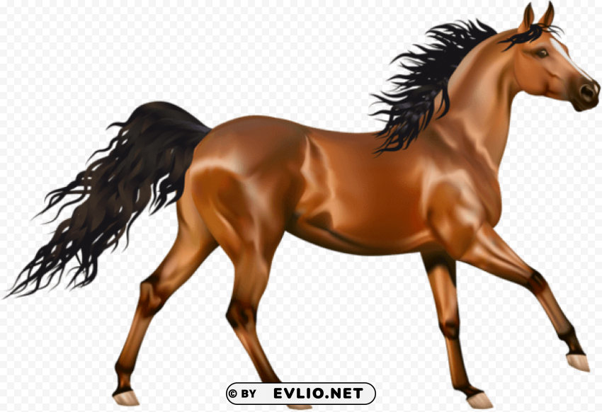 transparent brown horse PNG for educational use