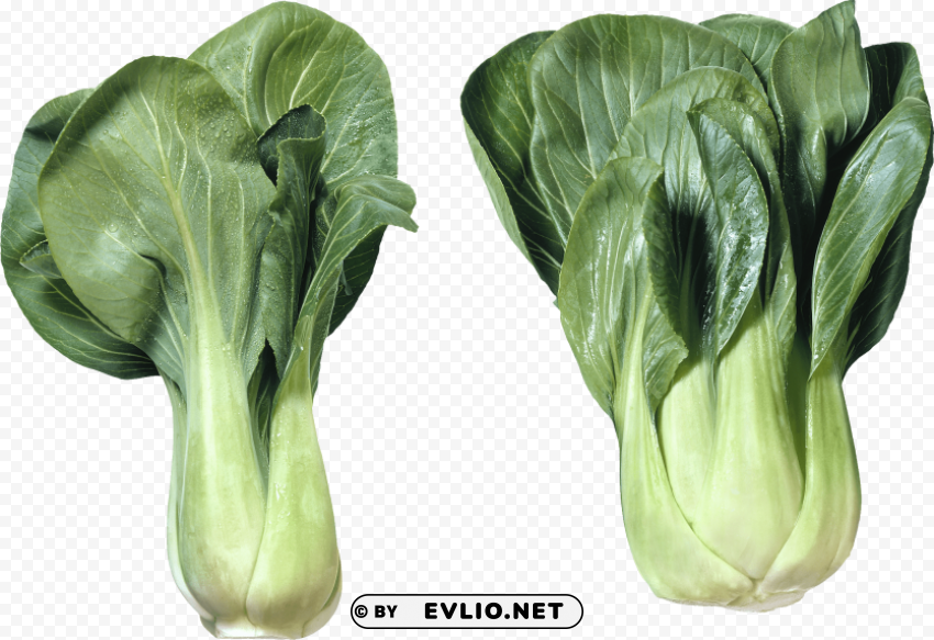 salad PNG with transparent background for free