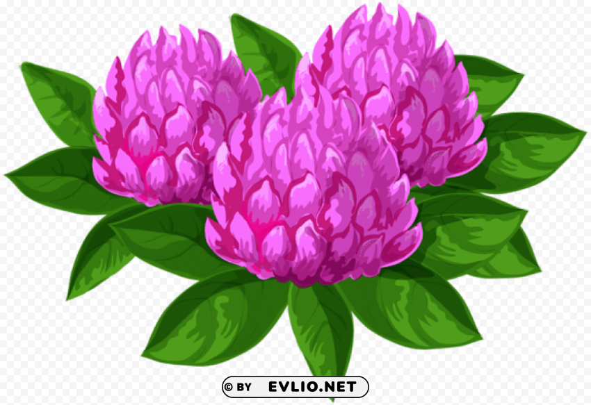 Wild Flowers PNG High Quality