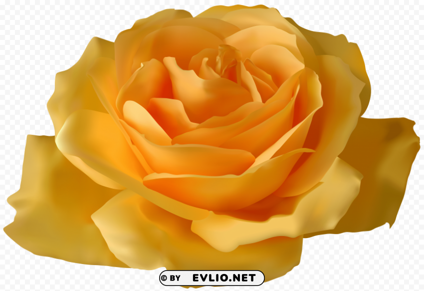 Yellow Rose PNG With Alpha Channel For Download