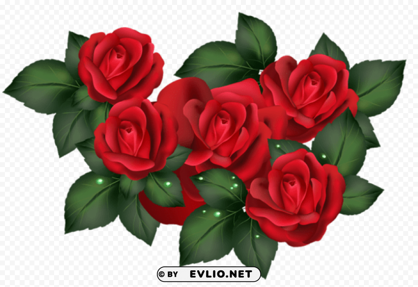  red roses HD transparent PNG