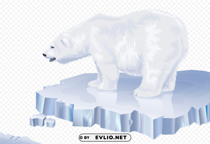 White Bear Transparent PNG Images With Alpha Transparency Wide Collection