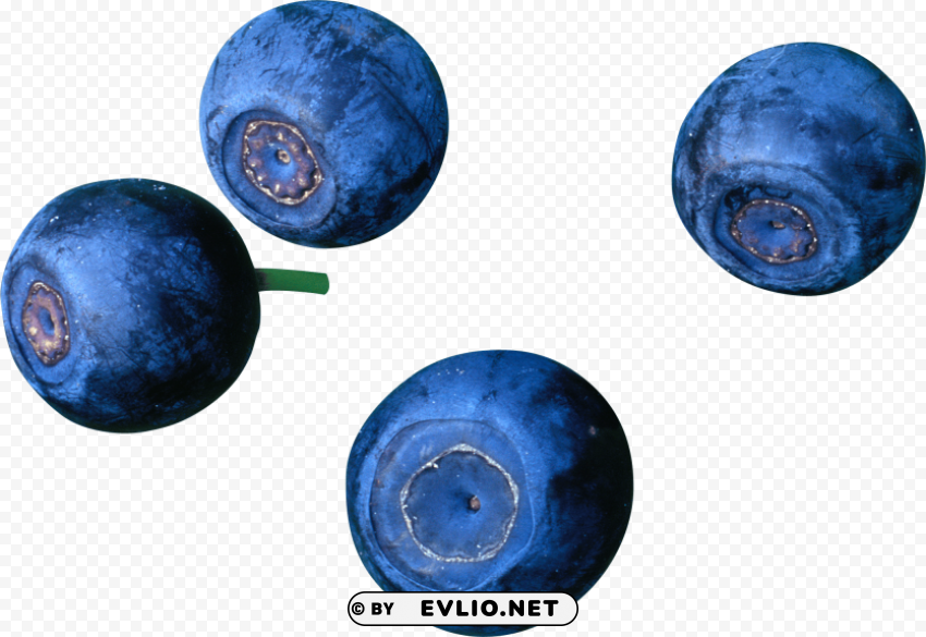 blueberries Clear PNG pictures free