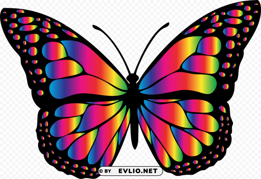 insect animal chrissy s wish memorial fund - big picture of butterfly HighQuality Transparent PNG Isolated Graphic Element PNG transparent with Clear Background ID 8ec38095