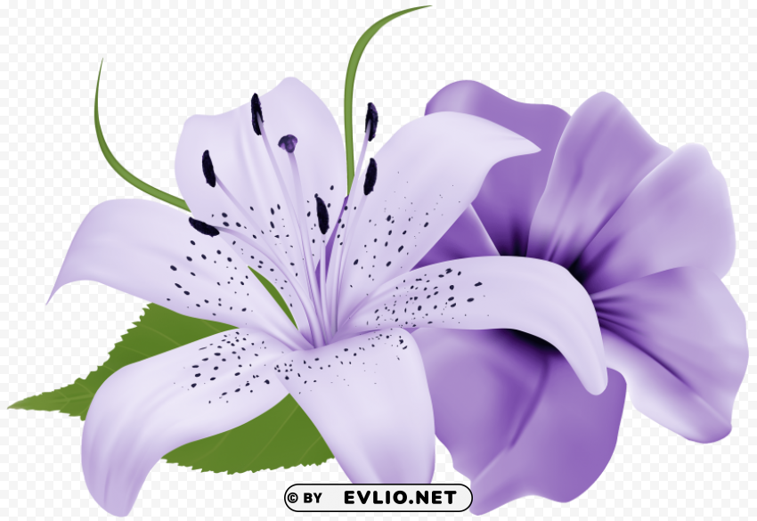 purple deco flowers PNG transparency images