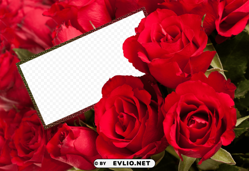 rose photo frame PNG transparent photos extensive collection PNG transparent with Clear Background ID 5351424e