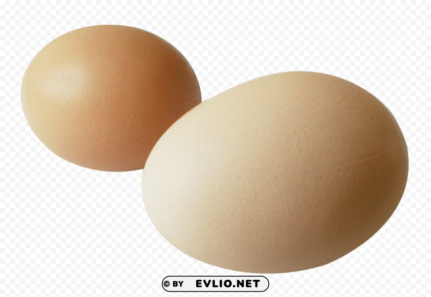 egg PNG images for printing