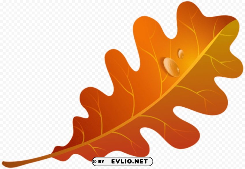 fall orange leaf PNG Image with Isolated Graphic Element