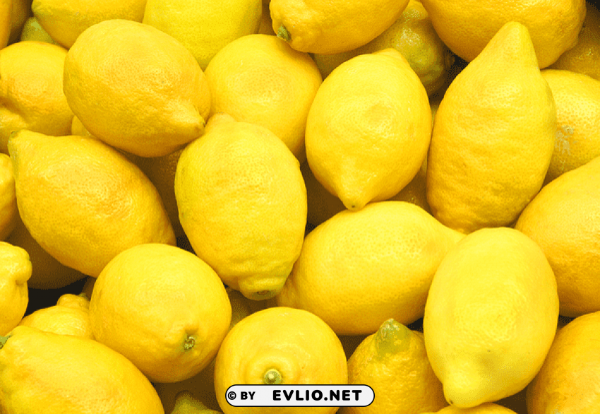 lemons Isolated Artwork on Clear Background PNG