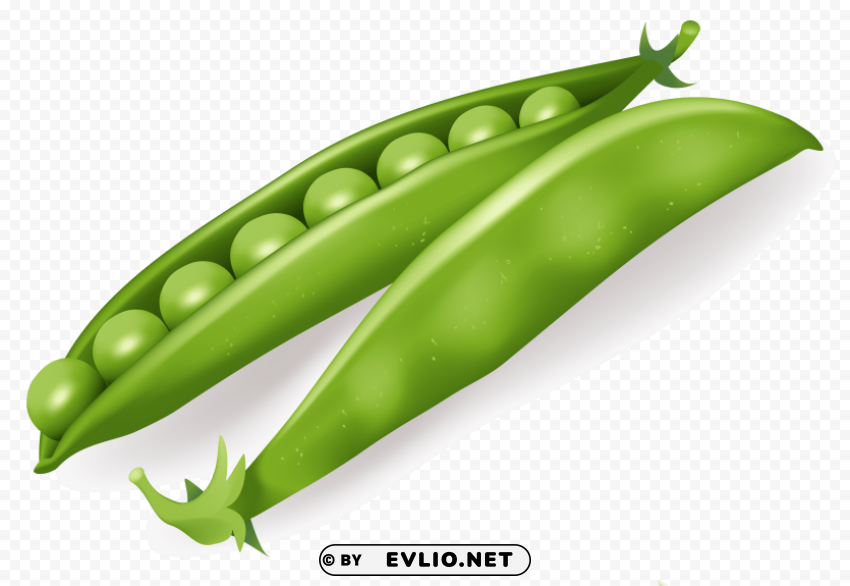 pea Isolated Subject on HighQuality Transparent PNG