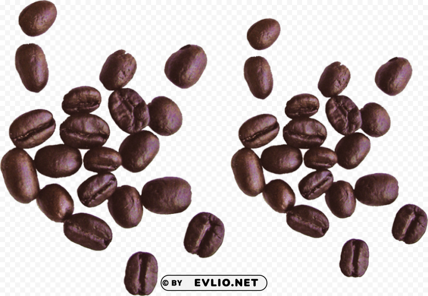 coffee beans Isolated Element on Transparent PNG