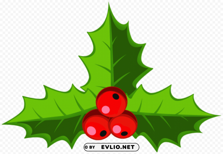 decorative holly Free PNG images with transparent layers