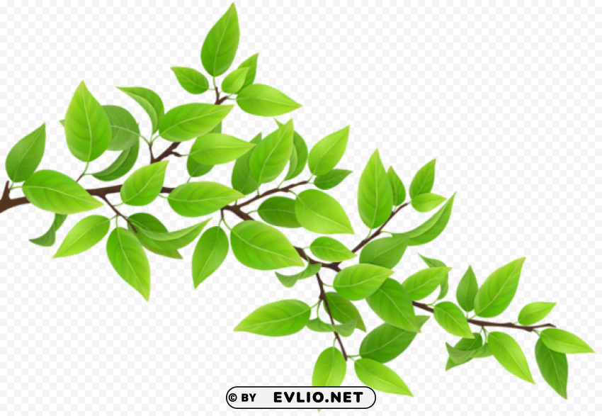 green branch Transparent PNG images complete package