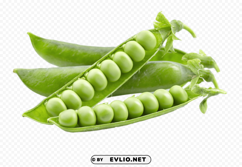 pea PNG images for advertising
