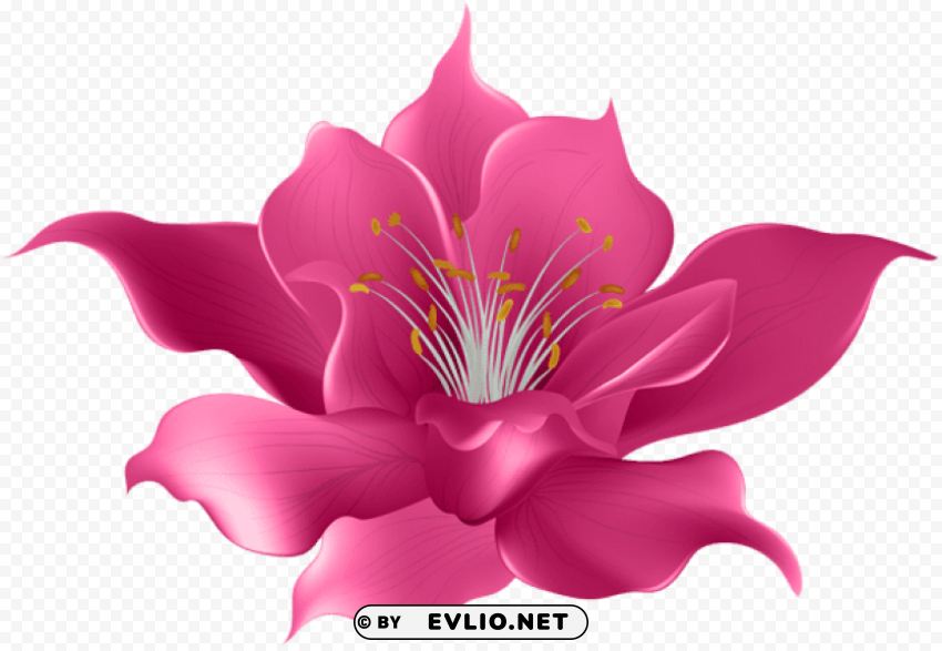 pink flower transparent PNG images with no background necessary