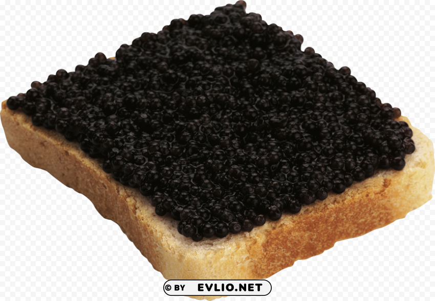 caviar bread No-background PNGs