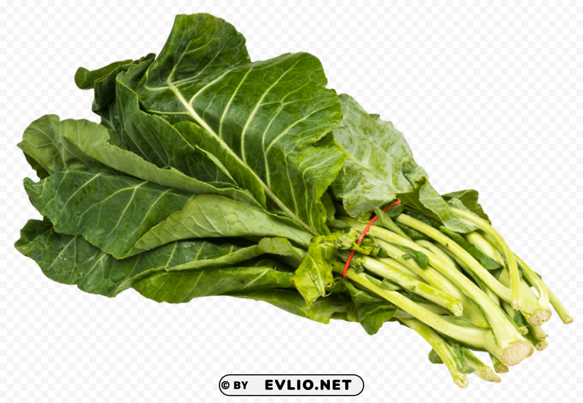collard greens bundle PNG Image Isolated with Clear Transparency