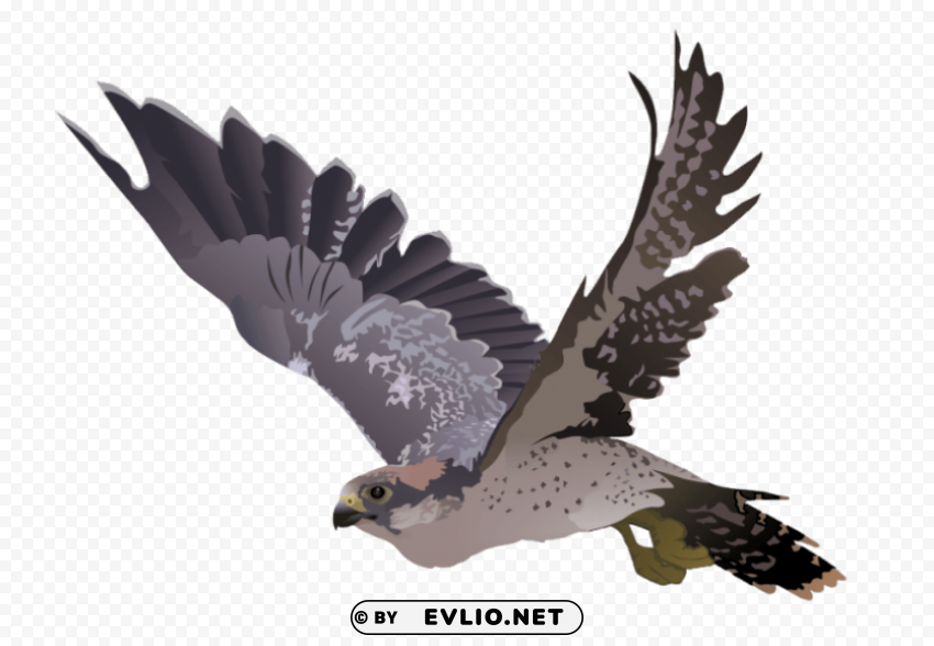 falcon PNG transparent elements package
