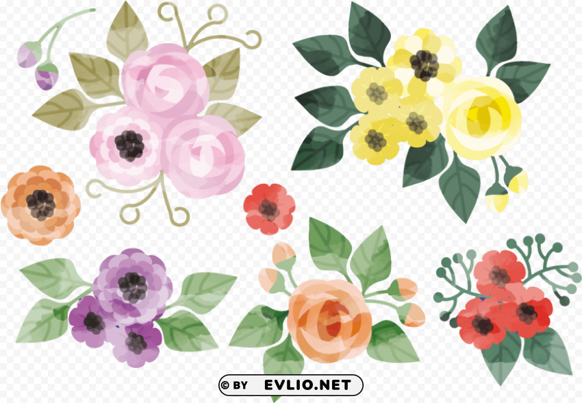 Flower Watercolor Vector PNG Image With Clear Background Isolation