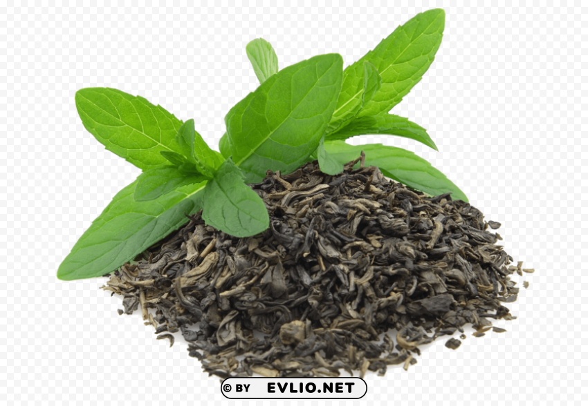 green tea PNG Image with Isolated Element