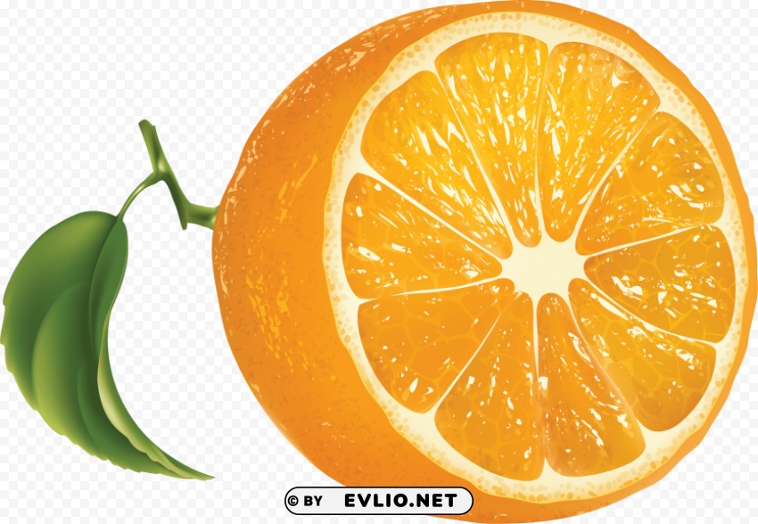 orange Clipart Isolated Character with Clear Background PNG clipart png photo - 1da4ae4b