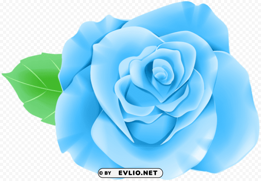 blue single rose PNG graphics with alpha transparency broad collection