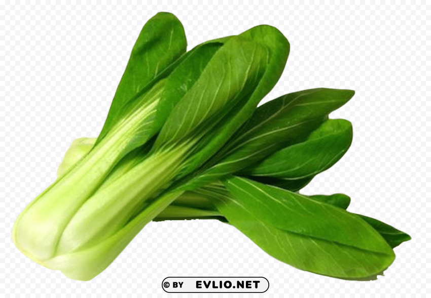 bok choy png pic No-background PNGs
