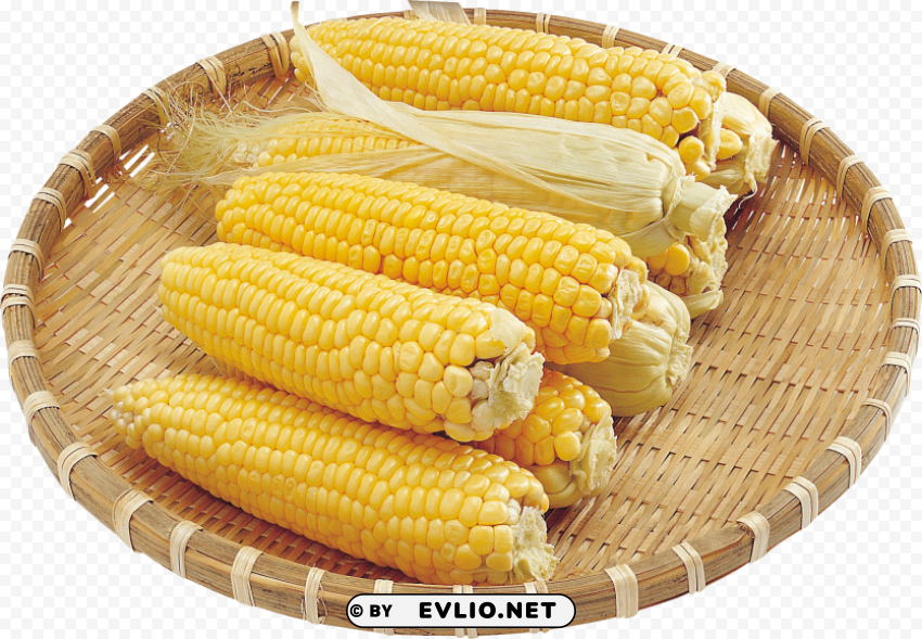 corn Clear background PNG elements