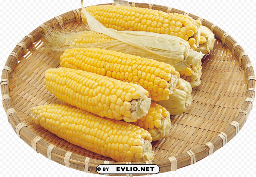 corn Clear background PNG elements PNG images with transparent backgrounds - Image ID d417b887