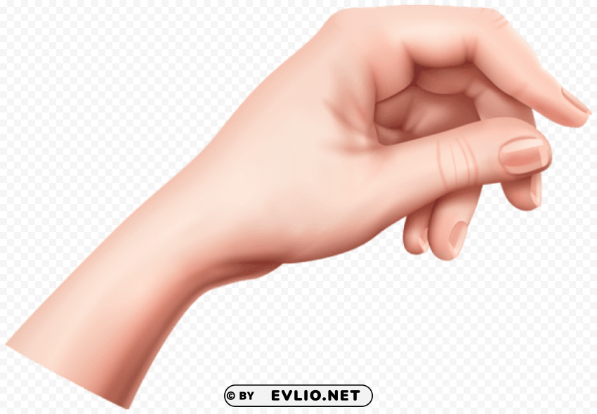 hand PNG images with no background free download