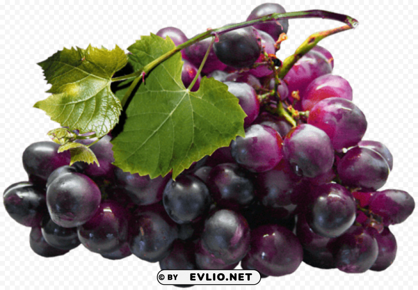 large black grapes PNG images with alpha channel diverse selection