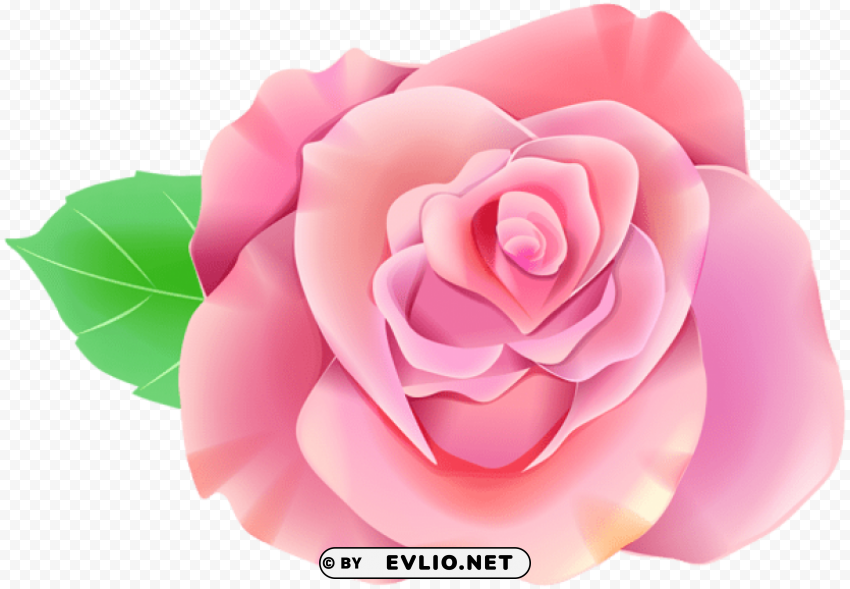 pink single rose PNG Graphic with Isolated Transparency