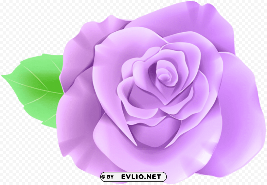 purple single rose PNG Graphic with Transparent Isolation