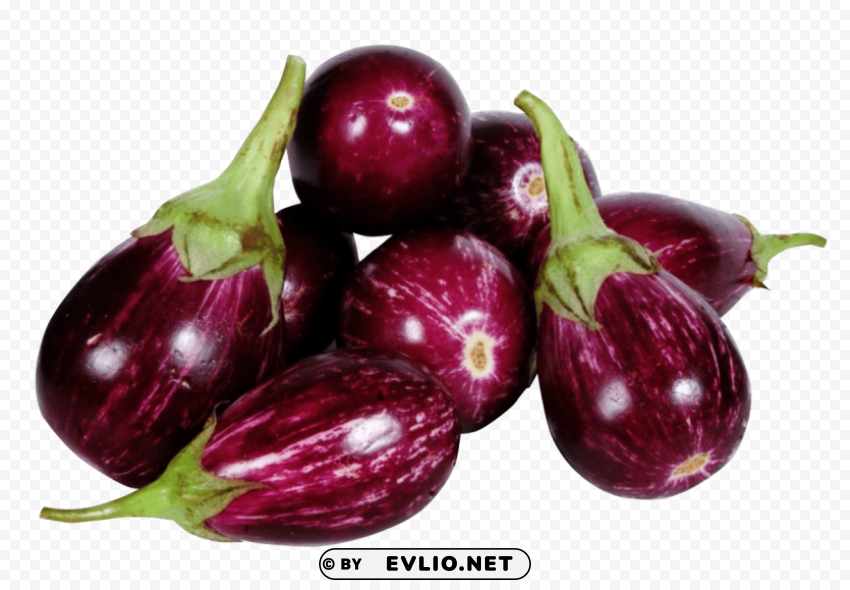 Brinjal Isolated Item With HighResolution Transparent PNG