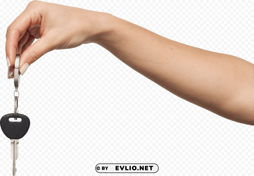Hands Transparent PNG Images With High Resolution