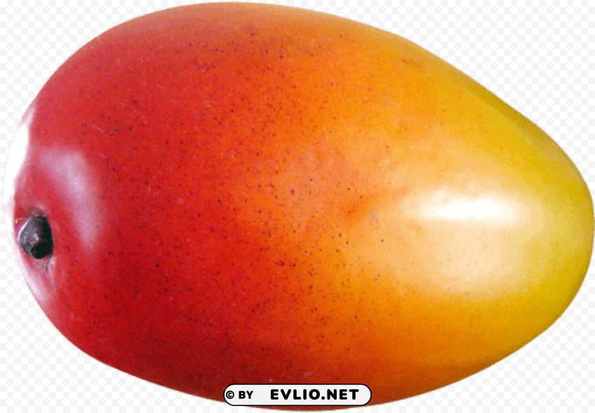 mango fruit Free download PNG with alpha channel extensive images