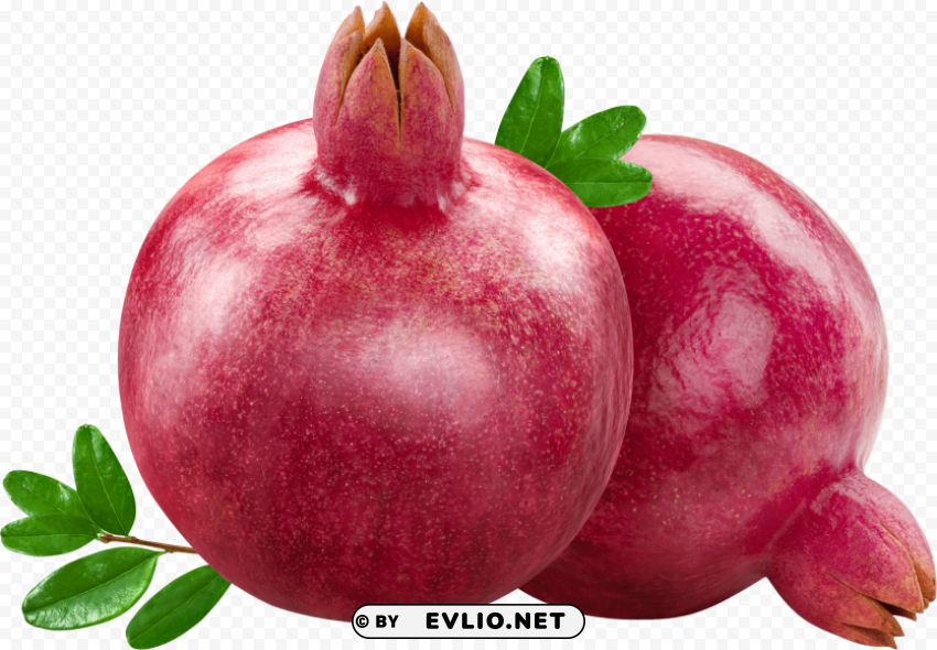 pomegranate Isolated Element on Transparent PNG