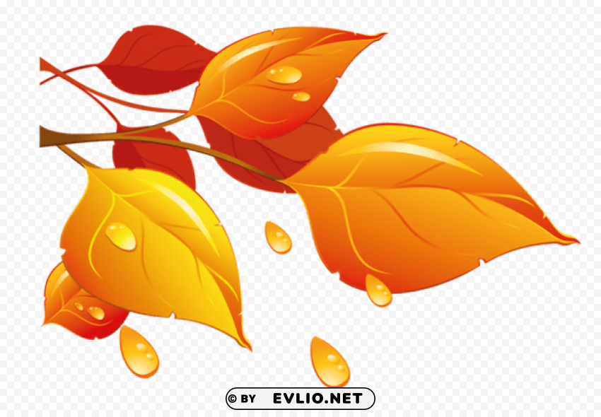 transparent autumn leaves PNG images with alpha channel diverse selection