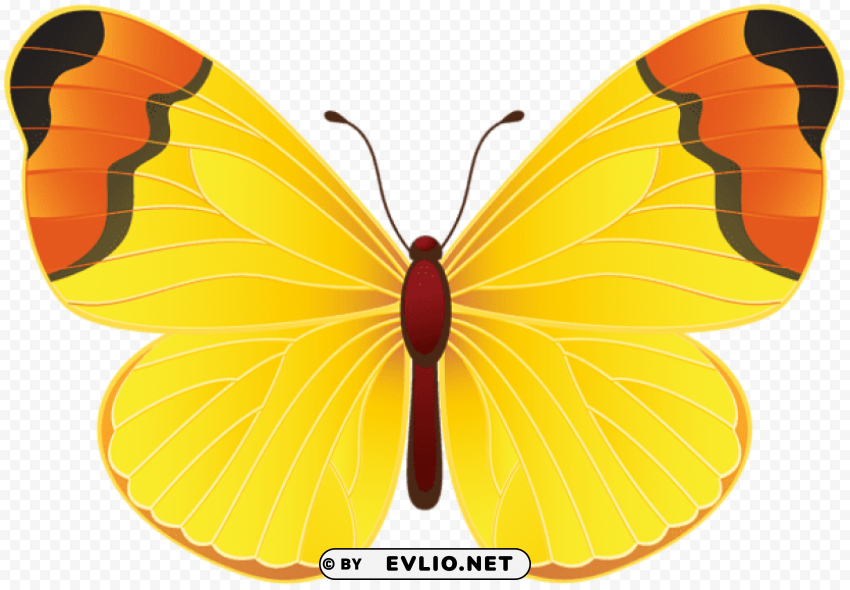 yellow butterfly Clean Background PNG Isolated Art clipart png photo - 0f1e1999