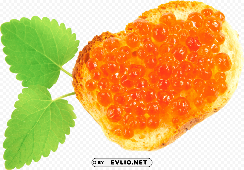 caviar toast Isolated Subject with Clear PNG Background