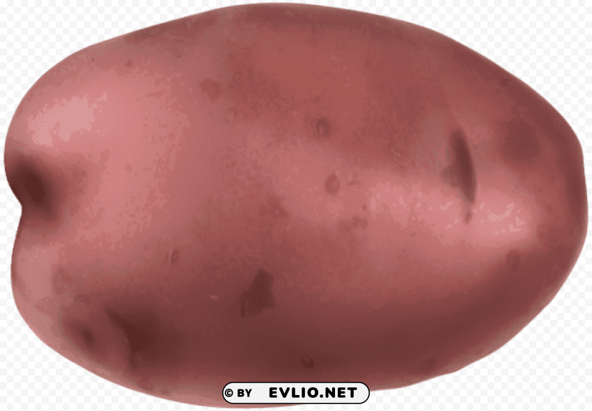 Pink Potato Transparent Isolated Subject On HighQuality PNG