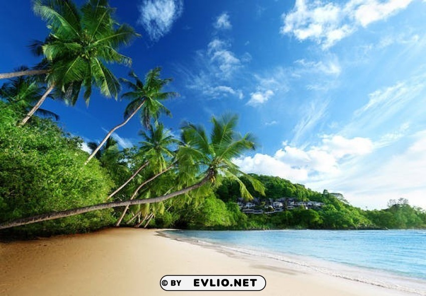 tropical beach High-resolution PNG