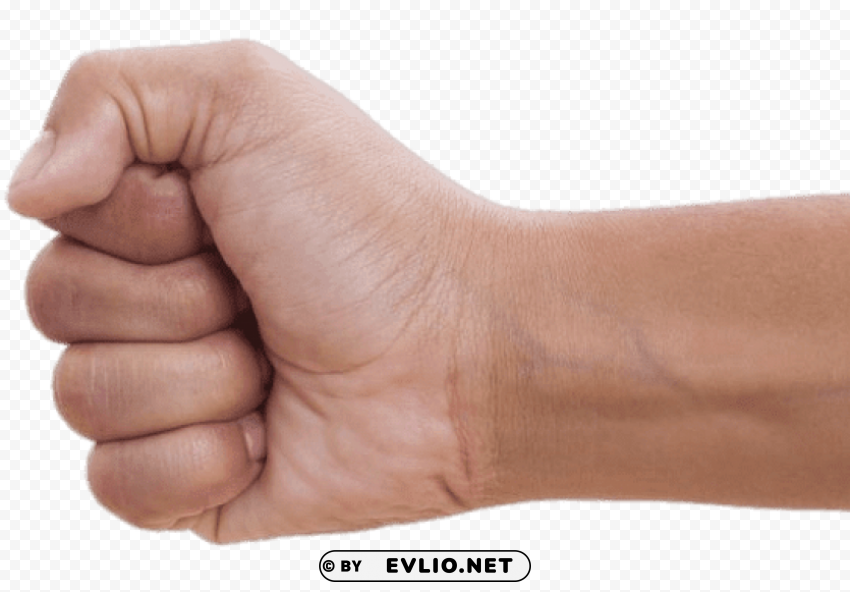 clenched fist to the left PNG with no background diverse variety