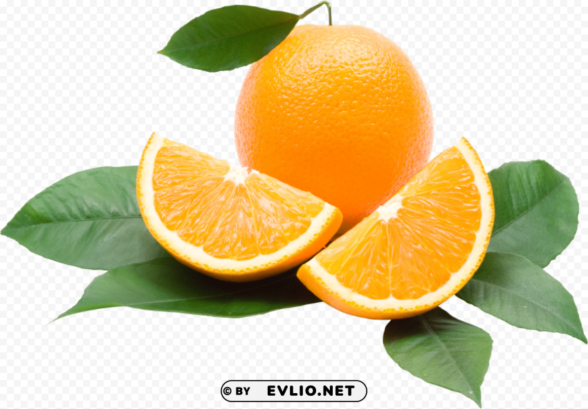 Orange PNG Isolated Object On Clear Background