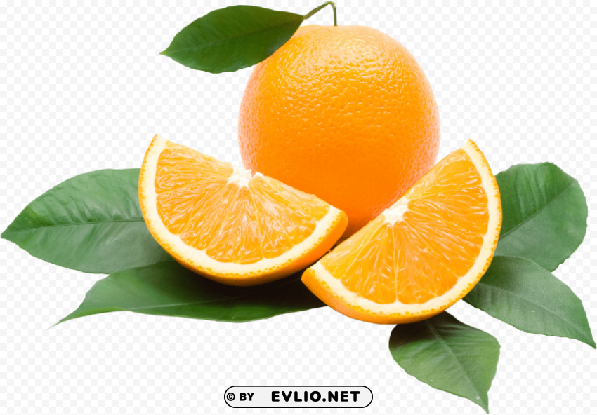 orange oranges PNG transparent icons for web design