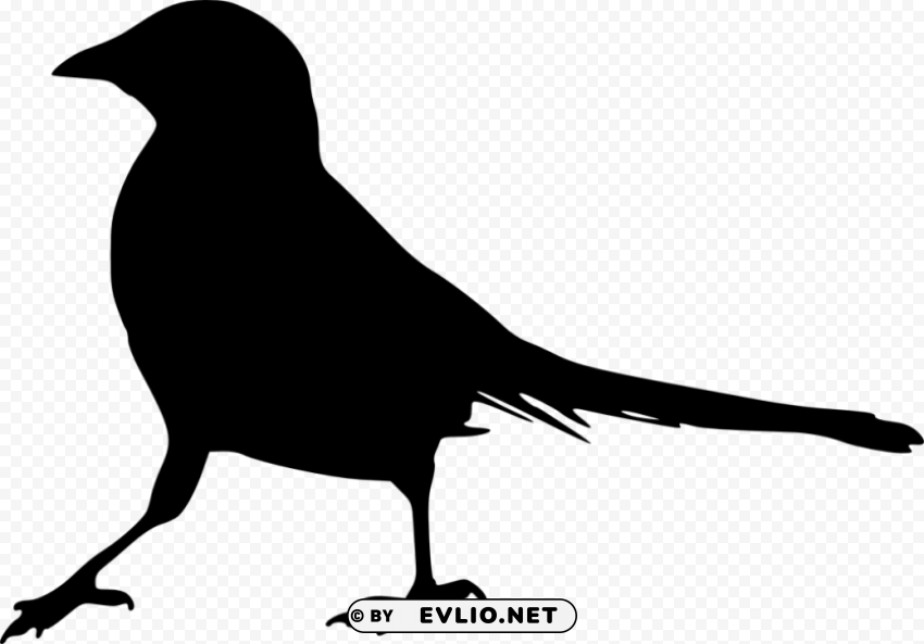 bird silhouette PNG high quality