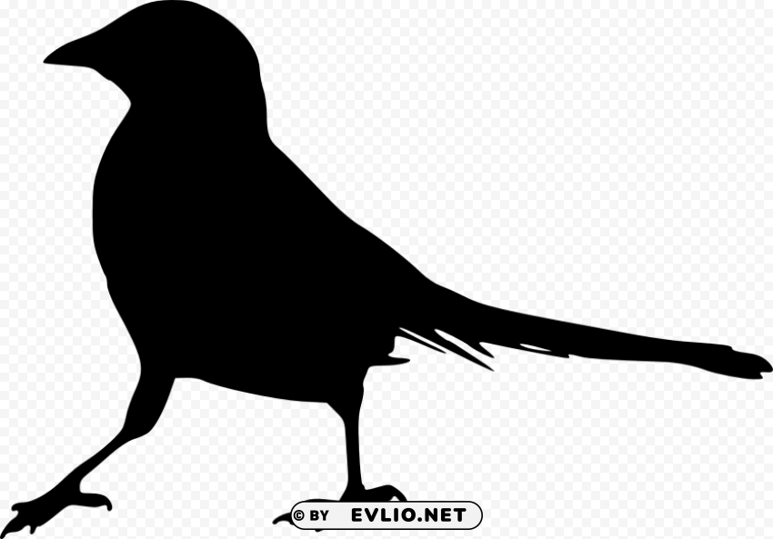 bird silhouette transparent background PNG images without subscription