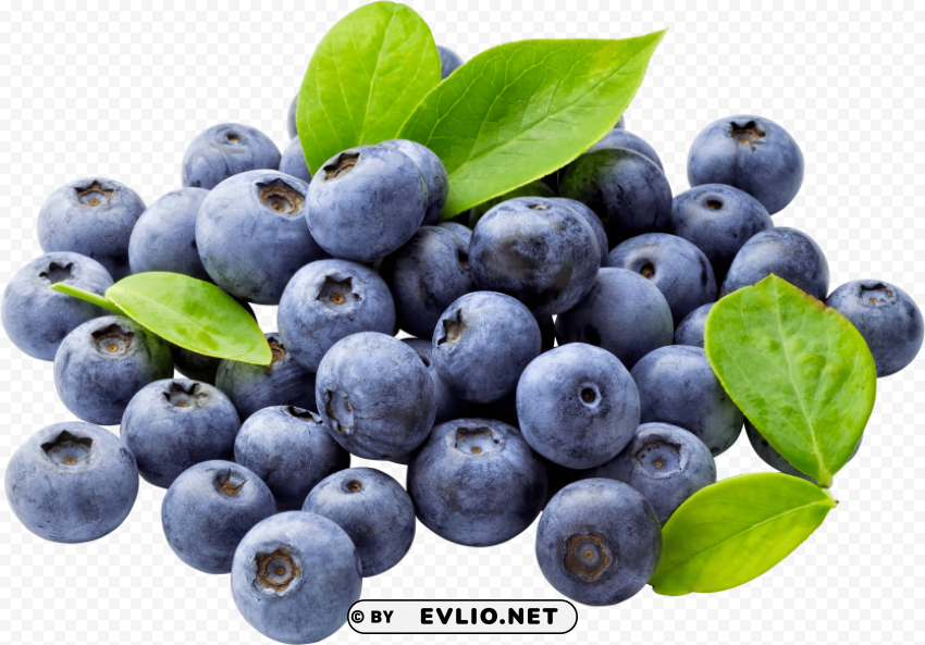 blueberries PNG Illustration Isolated on Transparent Backdrop