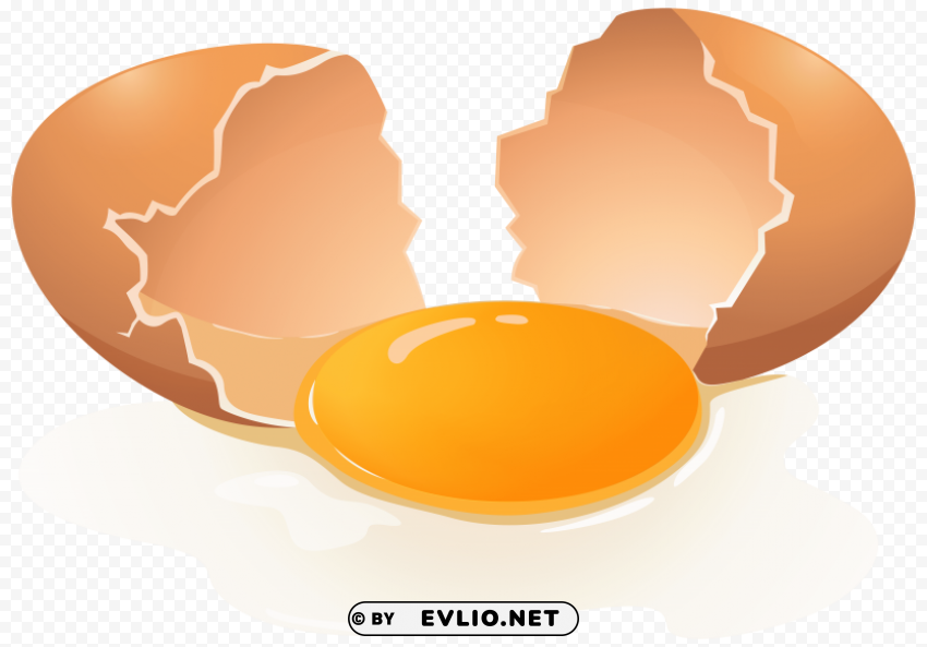 broken egg PNG Graphic Isolated with Transparency